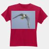 Softstyle Adult T-Shirt Thumbnail